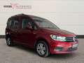 Volkswagen Caddy PKW 2.0 TDI Comf. +Navi+Nur Gewerbe Rouge - thumbnail 3