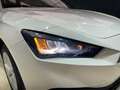 SEAT Leon 1.0 eTSI 81kW DSG-7 S&S Style Blanco - thumbnail 27