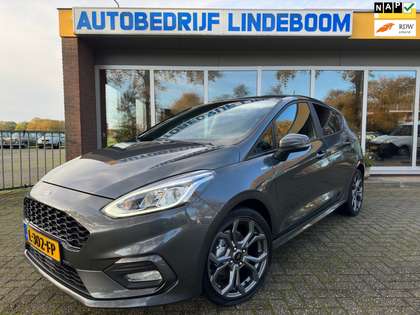 Ford Fiesta 1.0 EcoBoost ST-Line X Winter pack verwarmd stuurw