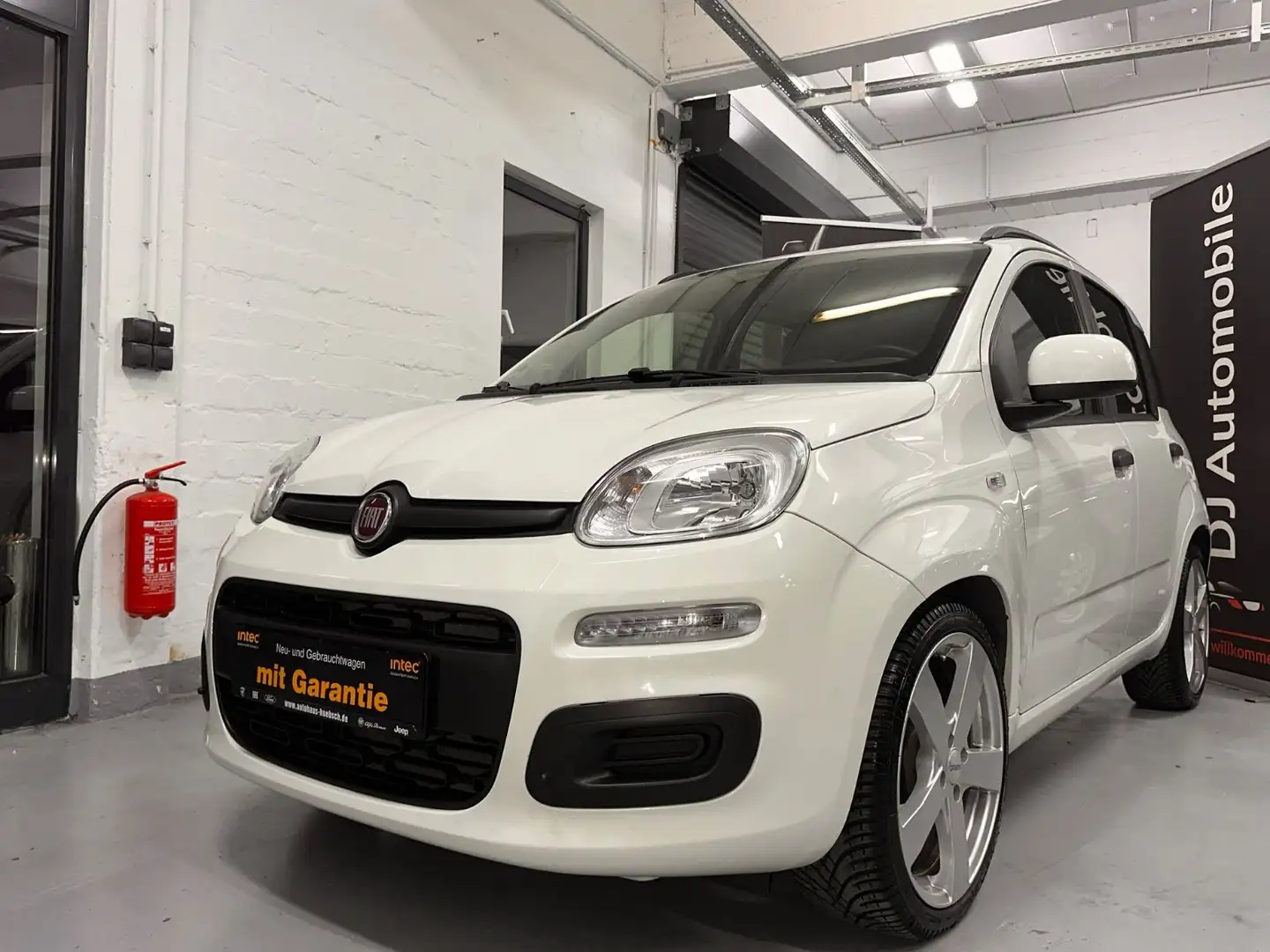 Fiat New Panda /SHZ/PDC/KLIMA/HU NEU/ZAHNR.NEU Weiß - 2