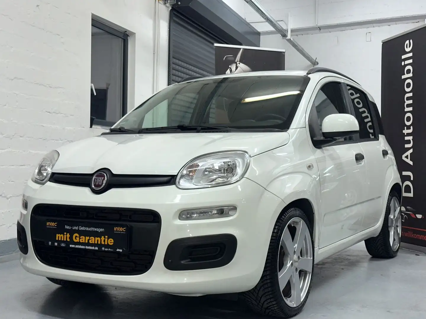 Fiat New Panda /SHZ/PDC/KLIMA/HU NEU/ZAHNR.NEU Weiß - 1