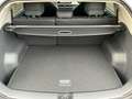Kia EV3 Earth 58.3 kWh Connect Business ACC Kamera  Leder Blanc - thumbnail 12