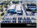 Audi Q3 35 TFSI UPE 60.880 S line 20" Business Matrix Grau - thumbnail 10