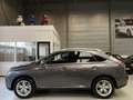 Lexus RX 450h 4WD Comfort Line Leer, Navi, Cruise Grau - thumbnail 9
