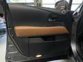 Lexus RX 450h 4WD Comfort Line Leer, Navi, Cruise Grau - thumbnail 14