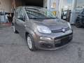 Fiat Panda 1.0 FireFly S&S Hybrid Grigio - thumbnail 4