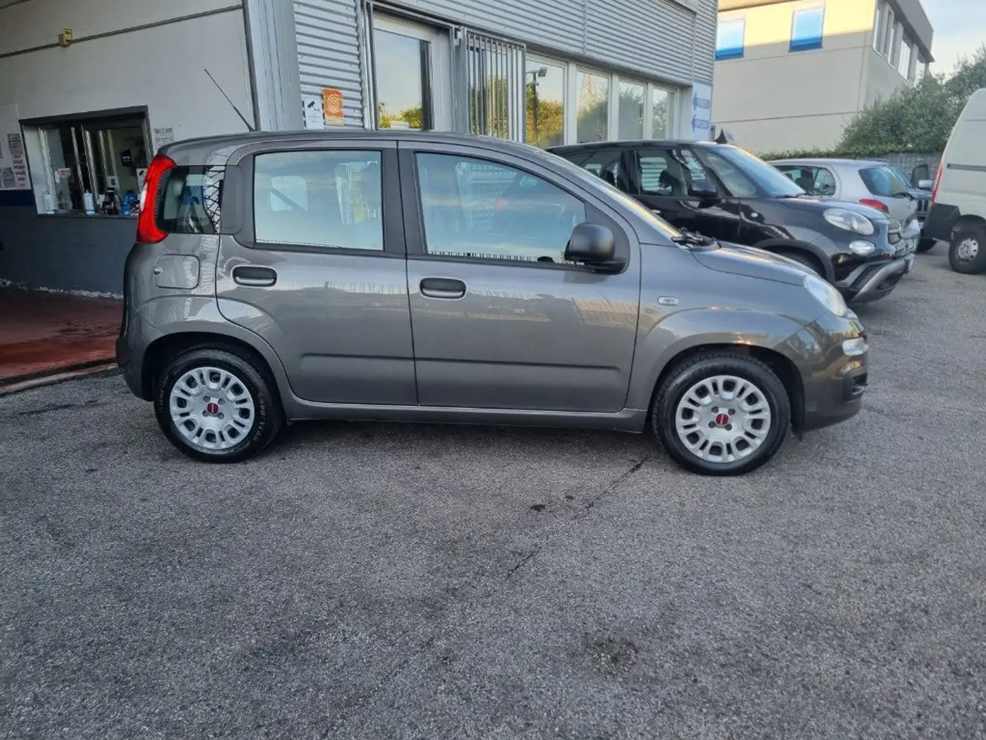 Fiat Panda 1.0 FireFly S&S Hybrid Grigio - 2