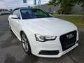 Audi A5 S´line*NAVI*XENON*Leder/Alcantara*19"LM*Keyless Blanc - thumbnail 14