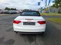 Audi A5 S´line*NAVI*XENON*Leder/Alcantara*19"LM*Keyless Blanc - thumbnail 11
