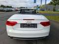 Audi A5 S´line*NAVI*XENON*Leder/Alcantara*19"LM*Keyless Blanc - thumbnail 6