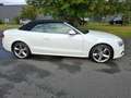 Audi A5 S´line*NAVI*XENON*Leder/Alcantara*19"LM*Keyless Blanc - thumbnail 13