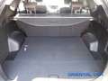 Hyundai SANTA FE Santa Fe 2.2 CRDi 4WD A/T Style  IN OTTIME CONDIZ Gris - thumbnail 14