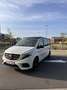 Mercedes-Benz V Mercedes-Benz Marco Polo AMG Line - 2020 - thumbnail 19