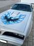Pontiac Trans Am V8 6.6l Blanc - thumbnail 5