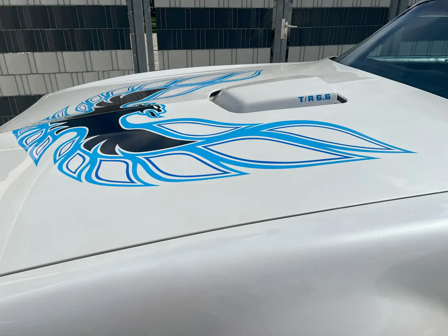 Pontiac Trans Am V8 6.6l Blanc - 1