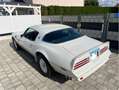 Pontiac Trans Am V8 6.6l Blanc - thumbnail 4