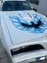 Pontiac Trans Am V8 6.6l Blanc - thumbnail 6