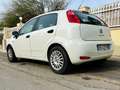 Fiat Punto Punto+5p+1.2+Street+E6 Bianco - thumbnail 2