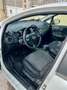 Fiat Punto Punto+5p+1.2+Street+E6 Bianco - thumbnail 6