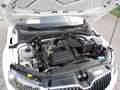 Skoda Octavia Octavia Combi Weiß - thumbnail 7