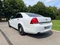 Chevrolet Caprice 2014 Police Car 6.0 V8 354 PS RARITÄT Fehér - thumbnail 4