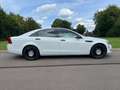 Chevrolet Caprice 2014 Police Car 6.0 V8 354 PS RARITÄT Fehér - thumbnail 7