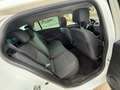 Renault Megane S.T. 1.2 TCE Energy Limited S&S Blanco - thumbnail 11