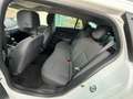 Renault Megane S.T. 1.2 TCE Energy Limited S&S Blanco - thumbnail 13