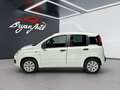Fiat Panda 1.2 Lounge s PERFETTA PER NEOAPATENTATI - thumbnail 6