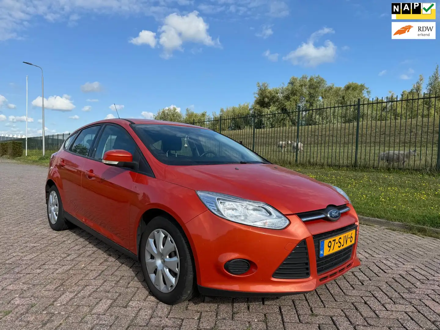 Ford Focus 1.6 EcoBoost Trend Oranje - 1