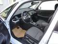 Honda Jazz 1,5 i-MMD Hybrid Elegance Aut. Weiß - thumbnail 7