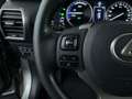 Lexus NX 300h AWD President Line, trekhaak met afn. kogel! Gris - thumbnail 15