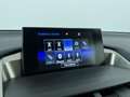 Lexus NX 300h AWD President Line, trekhaak met afn. kogel! Gris - thumbnail 18