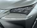 Lexus NX 300h AWD President Line, trekhaak met afn. kogel! Gris - thumbnail 9