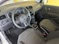 Volkswagen Polo Polo 1.4 5 porte Comfortline Bianco - thumbnail 5