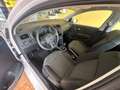 Volkswagen Polo Polo 1.4 5 porte Comfortline Bianco - thumbnail 6