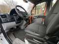 Mercedes-Benz Sprinter 314 BlueTEC 9Sitze+Rollstuhllift Klima Weiß - thumbnail 11