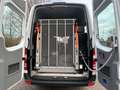 Mercedes-Benz Sprinter 314 BlueTEC 9Sitze+Rollstuhllift Klima Weiß - thumbnail 42