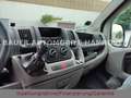 Fiat Ducato 30 120/Wohnmobil/Camper/Tüv NEU Blau - thumbnail 12