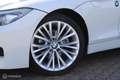 BMW Z4 Roadster sDrive23i Executive/Xenon/PDC/AC/ Wit - thumbnail 4