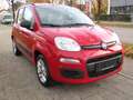 Fiat Panda Automatik*Klima*PDC*I Hand* Rouge - thumbnail 3