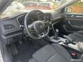 Renault Megane 1.5 bluedci 115ch business Blanco - thumbnail 16