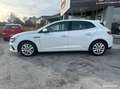 Renault Megane 1.5 bluedci 115ch business Blanco - thumbnail 21