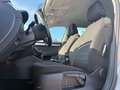 Skoda Octavia 1.6 TDI DSG Combi: 1 Hand,Navi,SHZ,AHK Grau - thumbnail 8