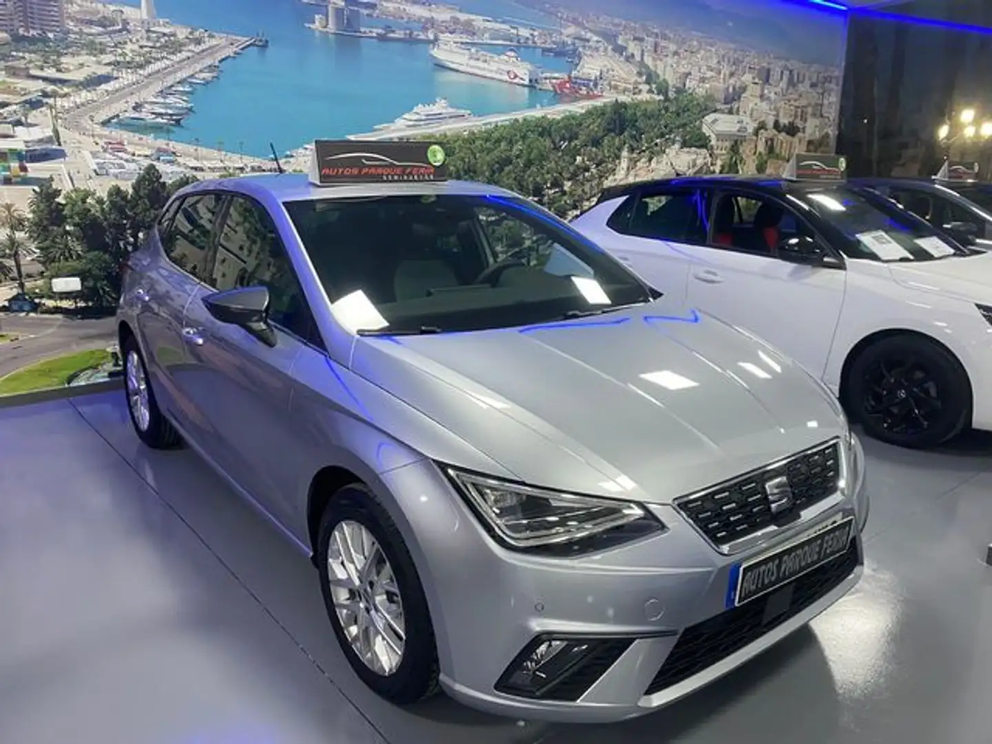SEAT Ibiza 1.0 TSI S&S Special Edition 115 Plateado - 2