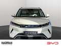 BYD Atto 2 Atto 2 64,8kWh Batt. Comfort Grün - thumbnail 4