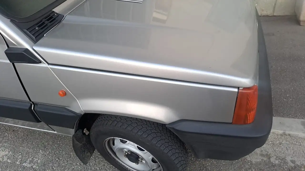 Fiat Panda 1.1 Fire Trekking 4x4 cat., foto 11