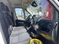 Fiat Ducato E-Ducato 3.5T L2H2 47 kWh | Camera | Mistlampen | Wit - thumbnail 17