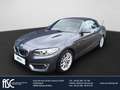 BMW 218 Cabrio/LuxuryLine/LED/Leder/Navi/EPH v/h/Sitzh/All Gris - thumbnail 1