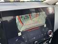 Lexus NX 350h Executive+ 4WD Groen - thumbnail 37